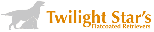 Twilight Star's